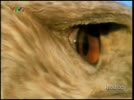 KH_63_all.flv