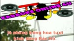 Karaoke_HOA_THOM_DANG_BAC.flv