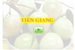 TIENGIANG.swf