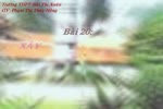 Tua_de_bai_20_pp.flv