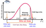 Gioi_han_sinh_thai_ca_ro_phi.png